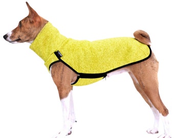 yellow dog sweatshirt