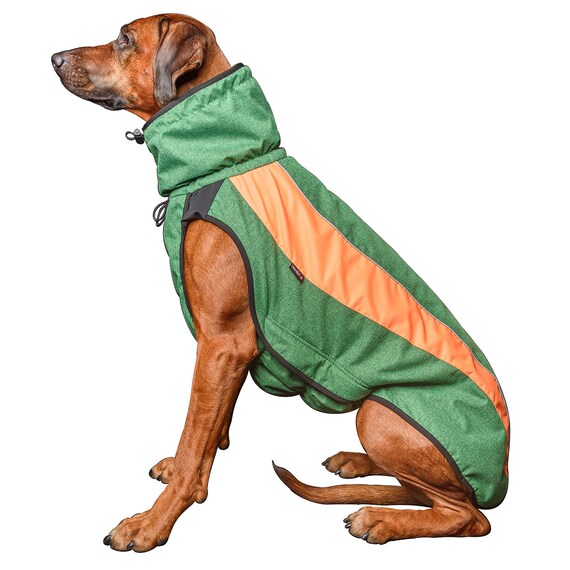 rhodesian ridgeback jacket