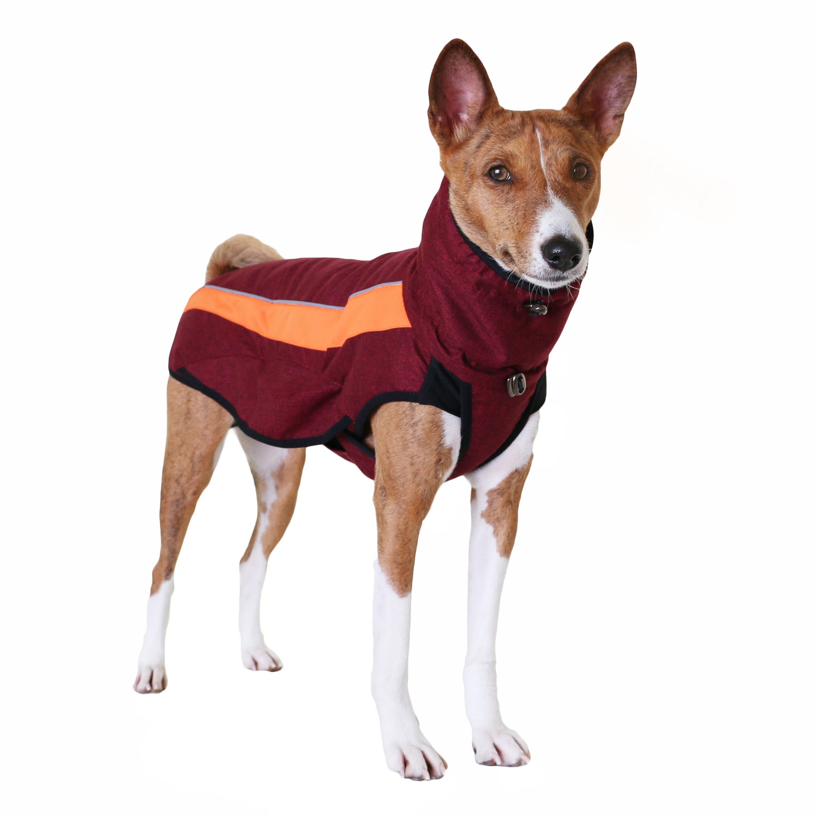 Burgundy Basenji Raincoat Warm Dog Coat Basenji Clothes Etsy