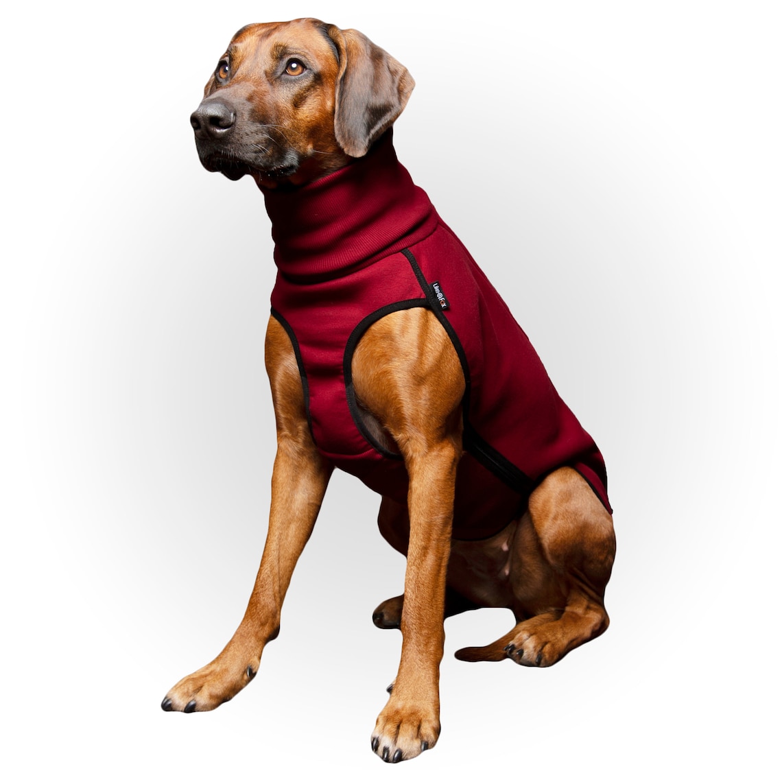 Dark Red Rhodesian Ridgeback Jumper Warm Dog Sweater Etsy