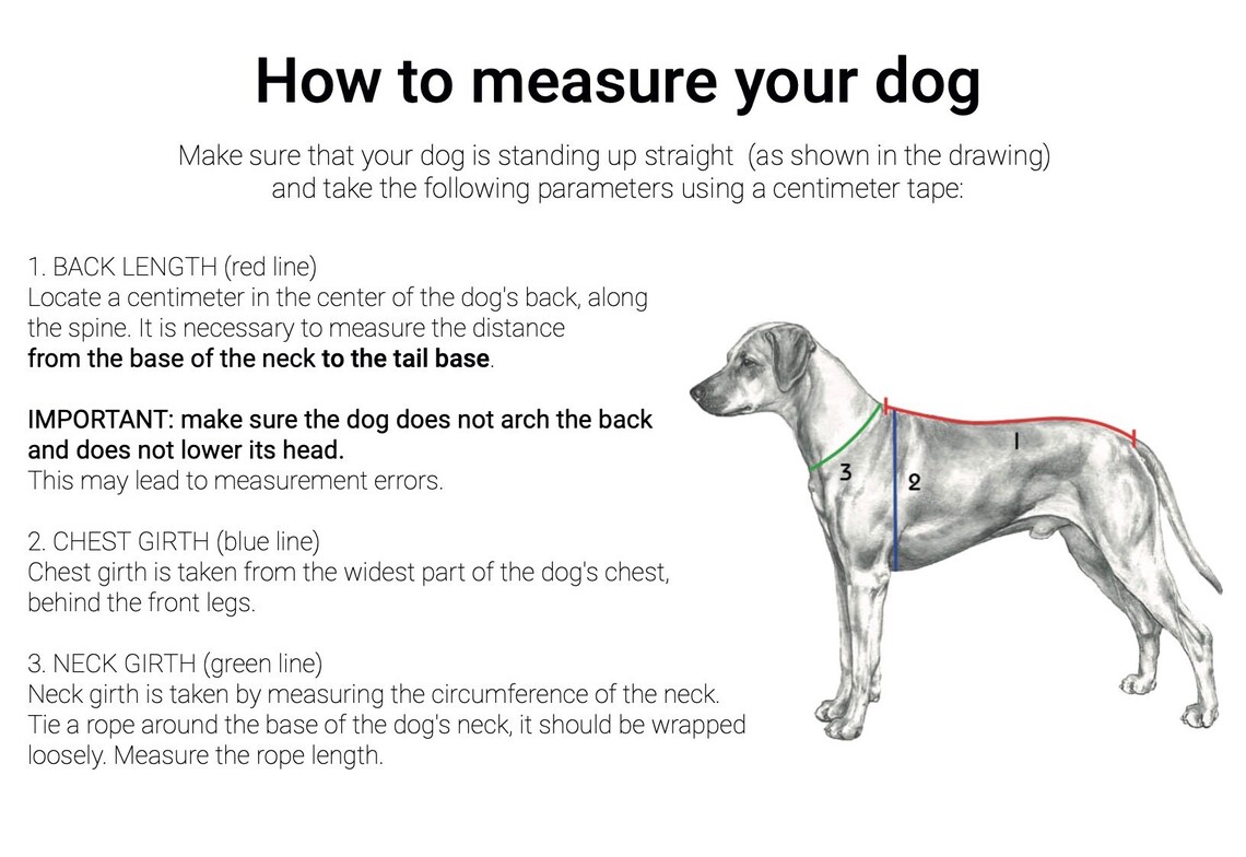 rhodesian ridgeback jumper