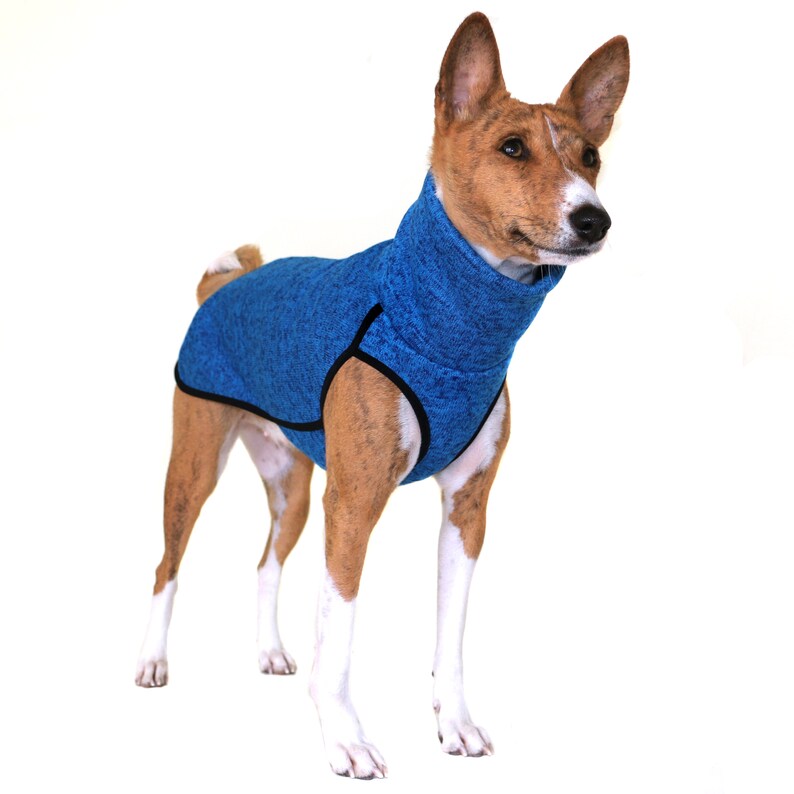 Blue Basenji Jumper Warm Dog Sweater Basenji Clothes | Etsy