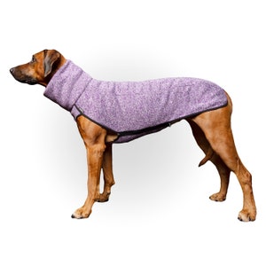 rhodesian ridgeback sweaters