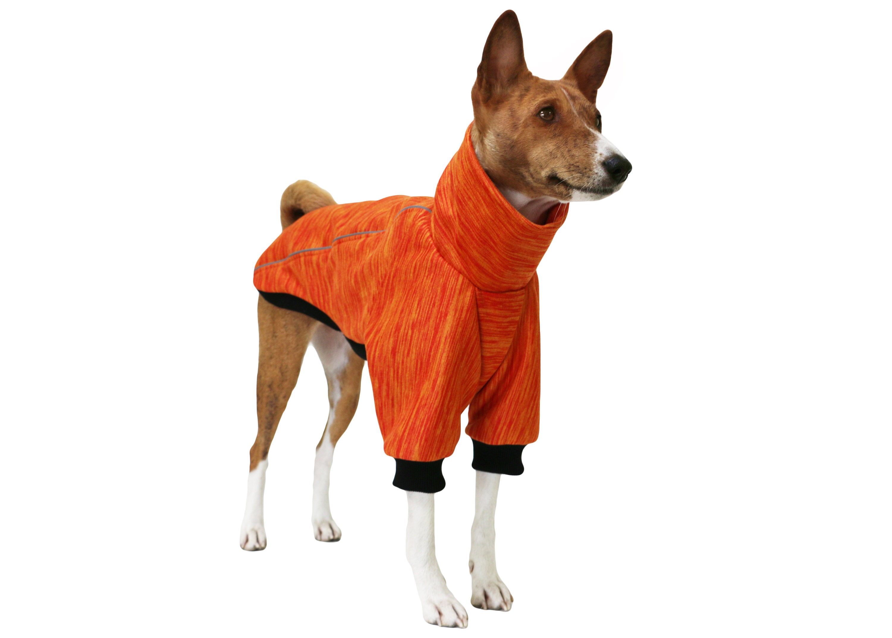 Orange Basenji Hoodie Warm Dog Hoodie Basenji Clothes Etsy