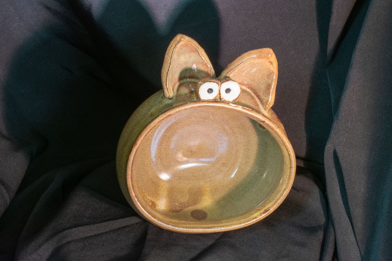 Cat Salt Pig