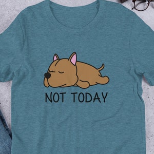 Not Today Pit Bull Camiseta, amante del pitbull, regalo de pitbull, pitbull lindo, pitbull divertido, kawaii, pitbull mamá, pitbull camiseta