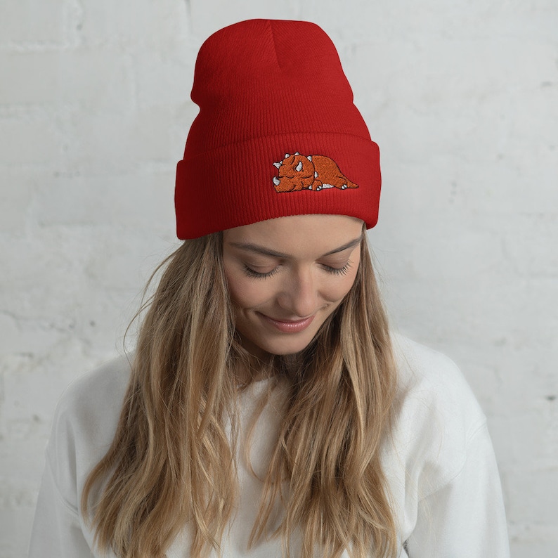 Puede incluir: Gorro de punto rojo con un peque&ntilde;o dinosaurio marr&oacute;n bordado en la parte delantera.