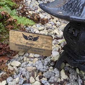Op de afbeelding: Een gouden metalen plaquette met de inscriptie "Bertie Beloved Dog & Companion 16/04/2006 - 21/06/2019" en een pootprint met vleugels. De plaquette ligt op een bedje van kleine grijze stenen naast een zwarte metalen lantaarn.