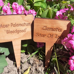 Personalised Plant Markers for Roses, Pots, Herb,