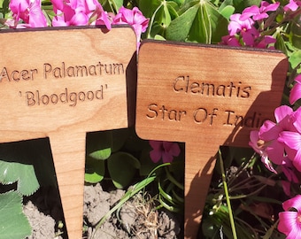 Personalised Plant Markers for Roses, Pots, Herb,