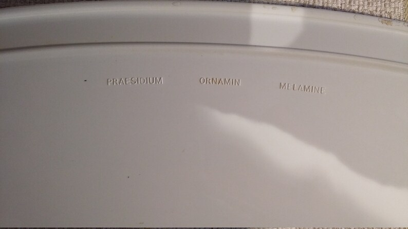 A Beautiful Mid century Praesidium Melamine Tray