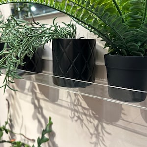 Stunning Clear Acrylic Shelfs - Perfect for Plants, Photos, Books, and Decor! | Custom Sizing Available!