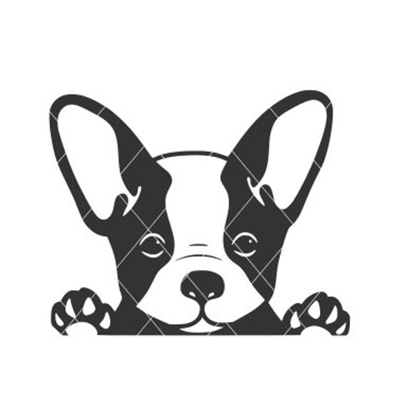 Download Peeking Puppy Svg Peeking Dog Cut File Puppy Vector Dog Etsy PSD Mockup Templates