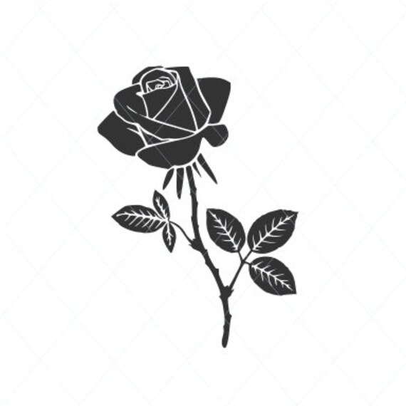Download Rose Svg Rose Cut File Rose Vector Flower Svg Rose Thorns Etsy