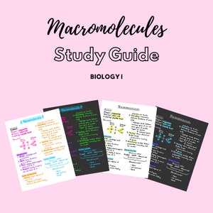 Könnte beinhalten: Vier schwarz-weiße Studienführer mit bunten handschriftlichen Notizen zum Thema Makromoleküle. Die Studienführer sind mit "Macromolecules Study Guide" und "BIOLOGY I" betitelt.