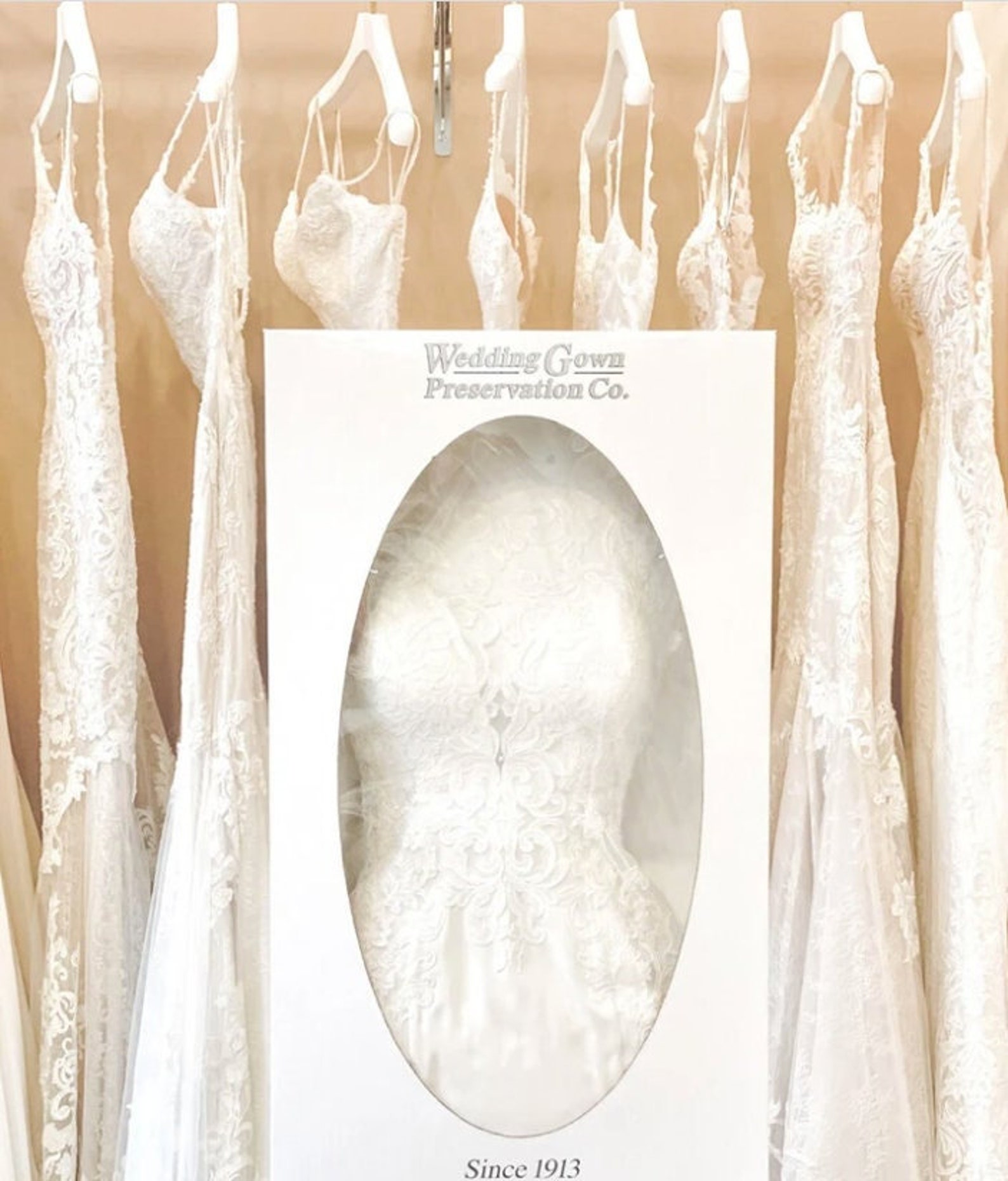 Wedding Gown Preservation