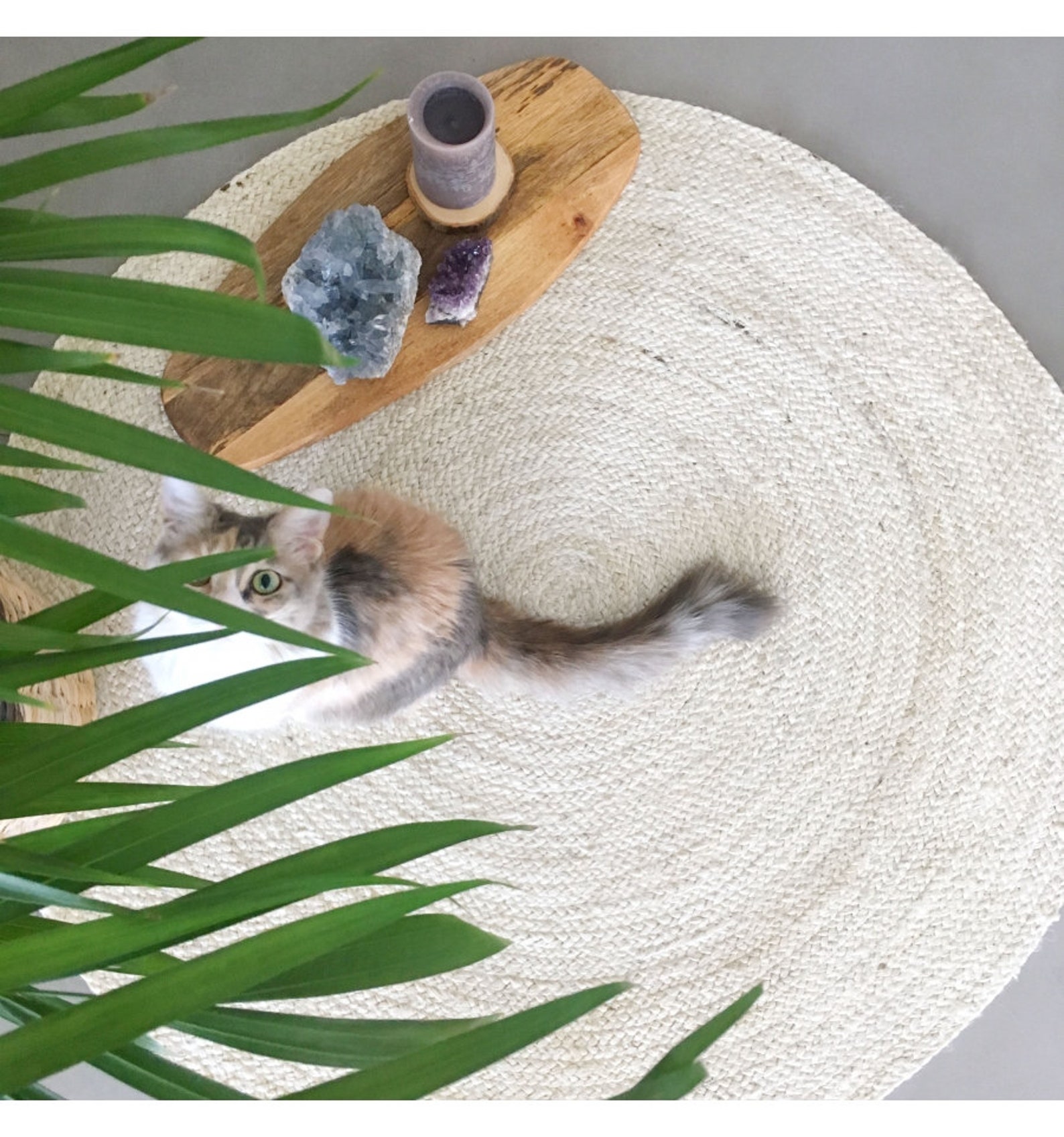 Handbraided White Round Jute Rug 90cm Jute Round Rug / Etsy