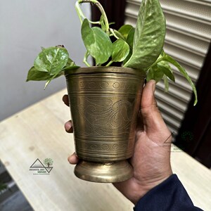May include: A brass planter with an intricate design, featuring a plant with green leaves. The planter has a round base and a cylindrical body.