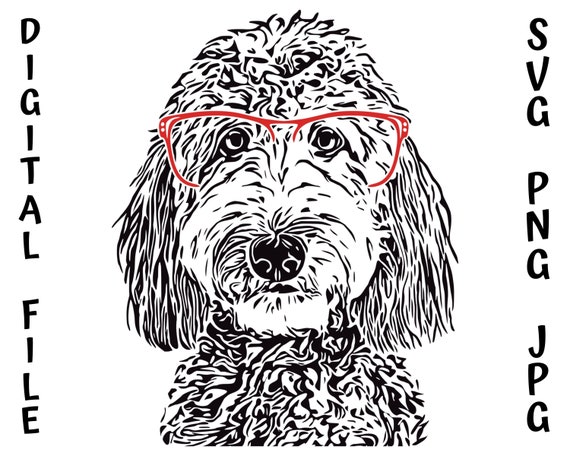 Labradoodle items cheap