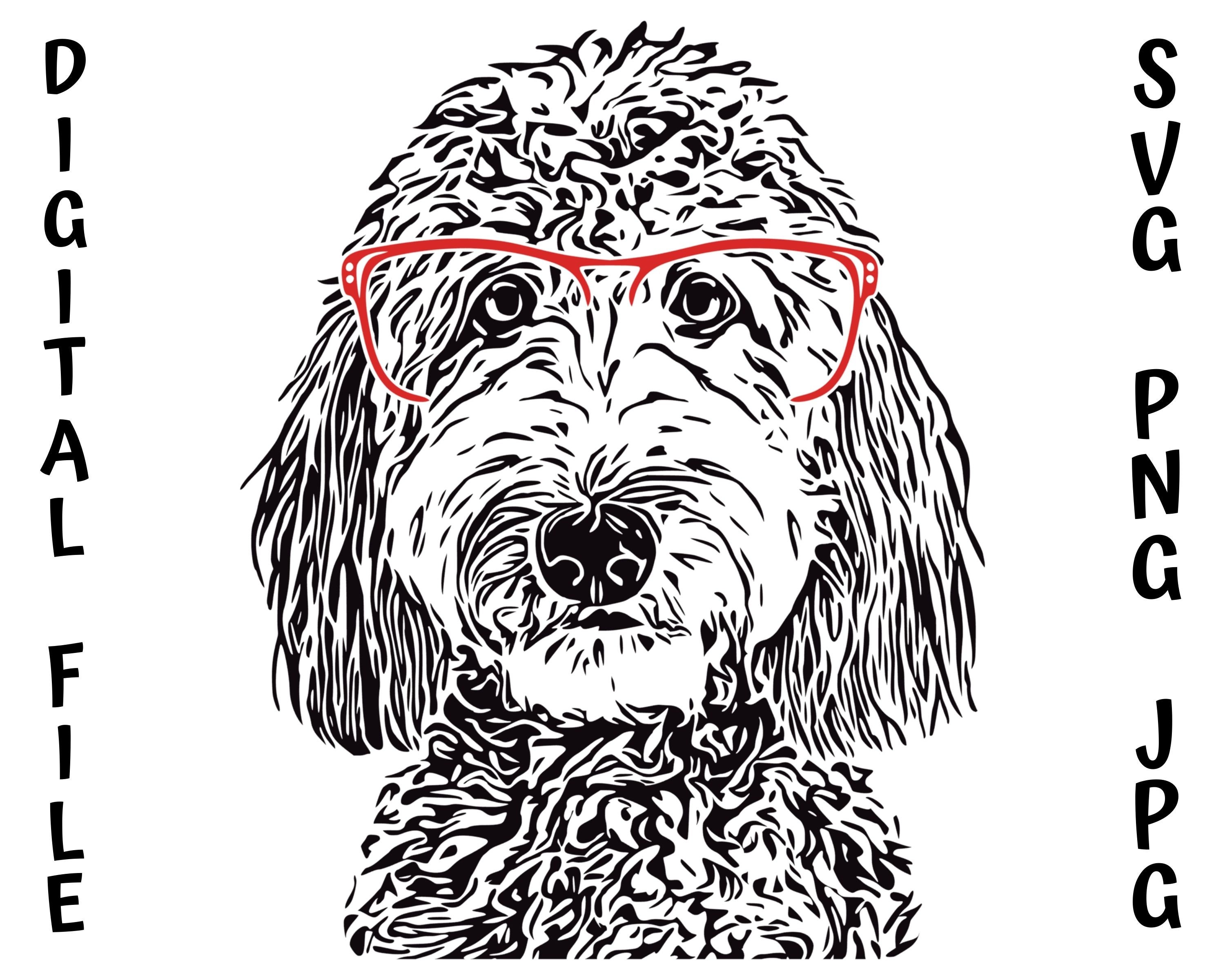 Doodle With Glasses Poodle Goldendoodle Labradoodle Puppy picture