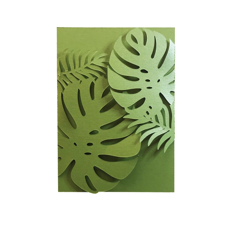 Puede incluir: Una tarjeta verde con recortes de papel en capas de hojas tropicales, incluyendo grandes hojas de monstera y follaje m&aacute;s peque&ntilde;o en forma de helecho. La tarjeta tiene una superficie texturizada.