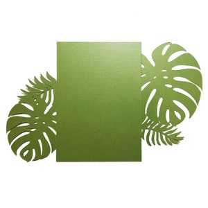 Puede incluir: Una tarjeta verde con una superficie texturizada, flanqueada por hojas tropicales verdes recortadas, incluyendo una gran hoja de Monstera y follaje m&aacute;s peque&ntilde;o en forma de helecho. Las hojas enmarcan la tarjeta sobre un fondo blanco, creando un tema bot&aacute;nico.