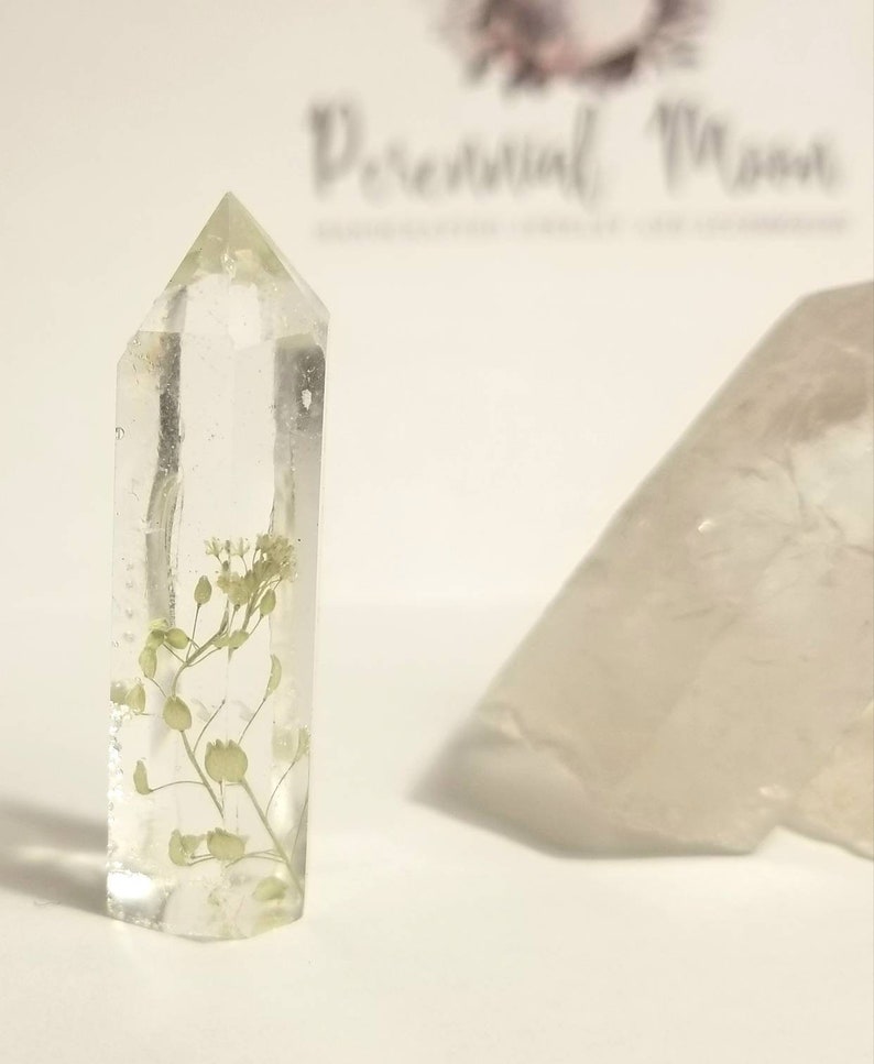 Flower crystal point wildflower terrarium bohemian decor hippie gifts Witch altar botanical treasure oddities flower crystal