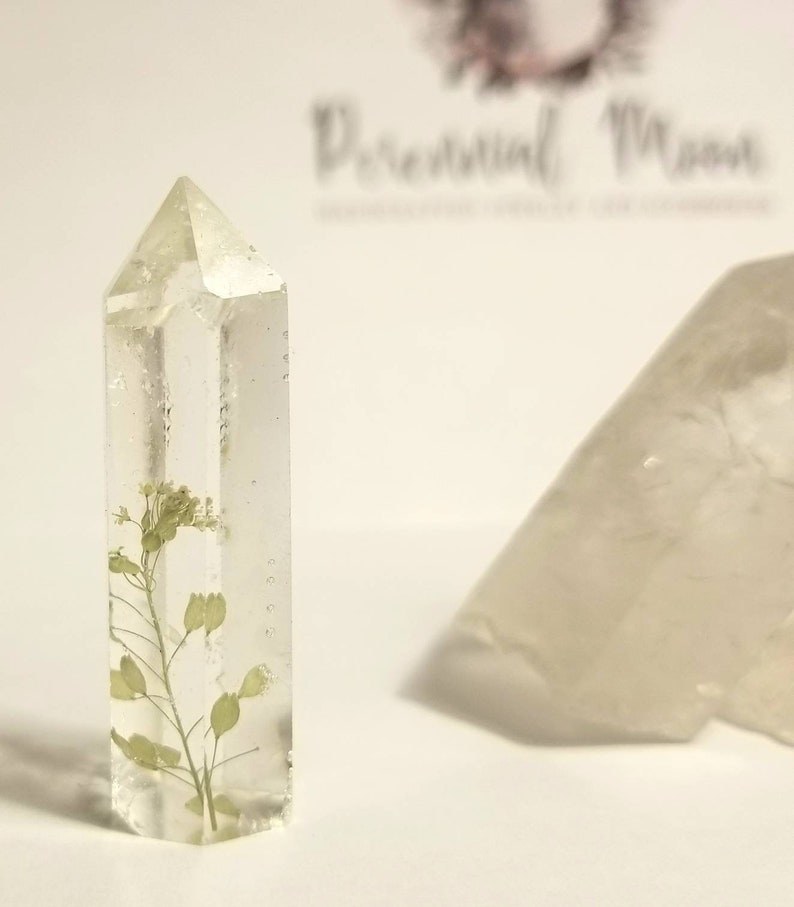 Flower crystal point wildflower terrarium bohemian decor hippie gifts Witch altar botanical treasure oddities flower crystal