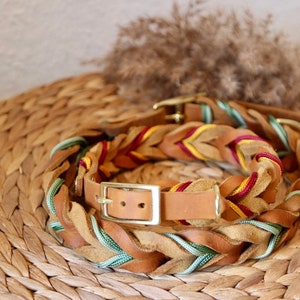 Leather collar | braided leather collar | ELISA image 1