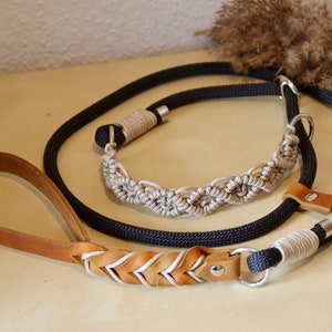 Tau retriever leash with leather wrist strap | "Elli"