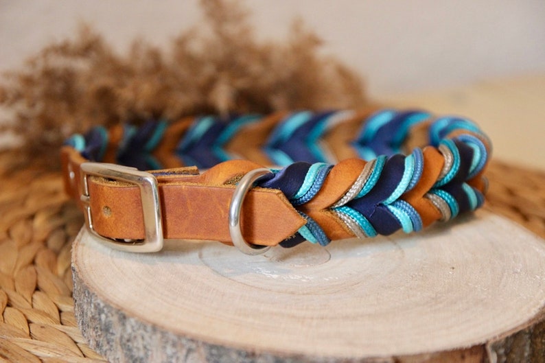 May include: A braided dog collar with brown leather and blue, teal, and silver braided rope. The collar has a silver buckle and D-ring.