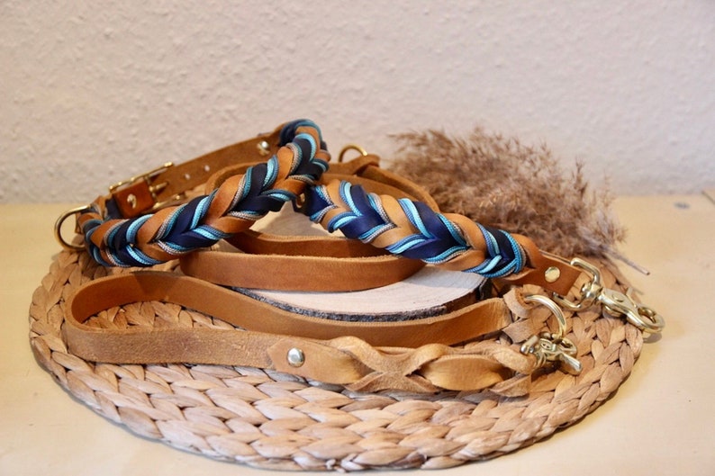May include: A set of two braided leather dog collars and leads. One collar and lead are brown leather with a blue and teal braided ribbon. The other collar and lead are brown leather with a braided design.