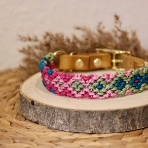 Peut inclure: Un collier pour chien tress&eacute; rose, vert et bleu avec une base en cuir marron et des accessoires dor&eacute;s.