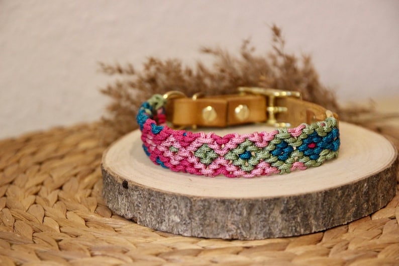 Peut inclure: Un collier pour chien tress&eacute; rose, vert et bleu avec une base en cuir marron et des accessoires dor&eacute;s.