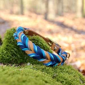 May include: A braided dog collar with brown leather, blue, and teal woven together. The collar is on a bed of green moss.