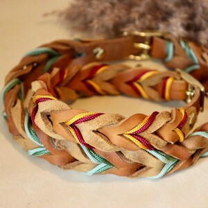 Leather collar | braided leather collar | ELISA image 2