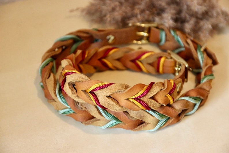 Leather collar | braided leather collar | ELISA image 2