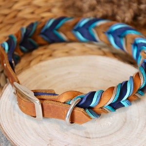 May include: A braided leather dog collar with blue, brown and white stripes. The collar has a silver buckle and a silver D-ring.