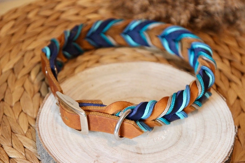 May include: A braided leather dog collar with blue, brown and white stripes. The collar has a silver buckle and a silver D-ring.