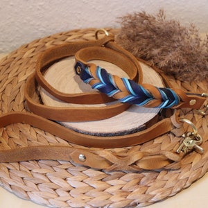 May include: A brown leather dog lead with a braided blue and brown accent. The lead has two gold metal clasps.