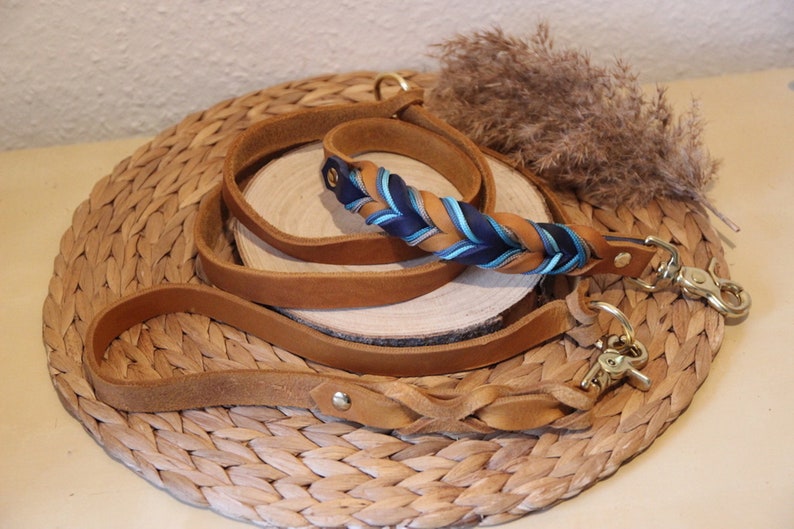 May include: A brown leather dog lead with a braided blue and brown accent. The lead has two gold metal clasps.