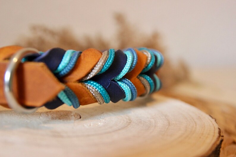 May include: A brown leather dog collar with a braided design featuring blue, grey, and tan cords. The collar has a silver metal D-ring.