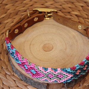 Peut inclure: Un collier de chien tress&eacute; color&eacute; avec une base en cuir marron et une boucle en m&eacute;tal dor&eacute;. Le collier est sur une surface en bois.