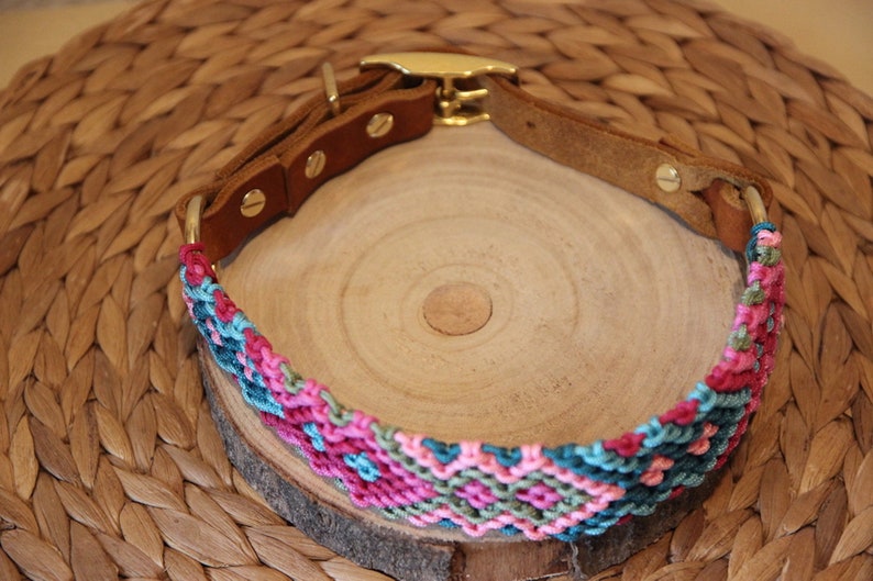 Peut inclure: Un collier de chien tress&eacute; color&eacute; avec une base en cuir marron et une boucle en m&eacute;tal dor&eacute;. Le collier est sur une surface en bois.
