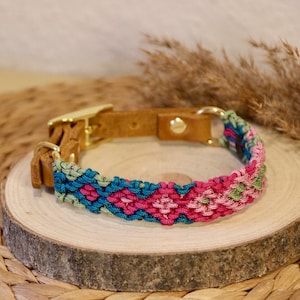 Peut inclure: Un collier de chien tress&eacute; color&eacute; avec une base en cuir marron et des accessoires dor&eacute;s. Le collier pr&eacute;sente un motif tress&eacute; rose, vert et bleu.