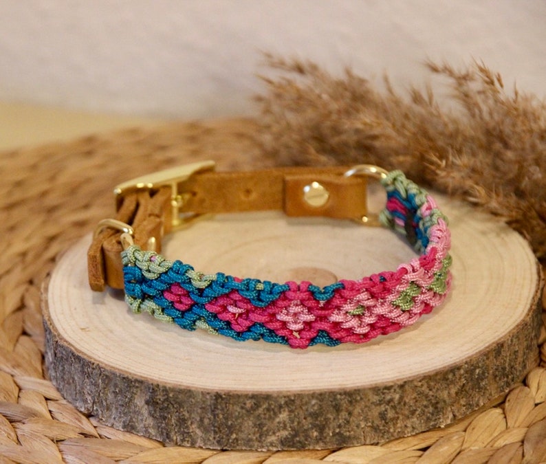 Peut inclure: Un collier de chien tress&eacute; color&eacute; avec une base en cuir marron et des accessoires dor&eacute;s. Le collier pr&eacute;sente un motif tress&eacute; rose, vert et bleu.