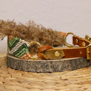 Breites Halsband