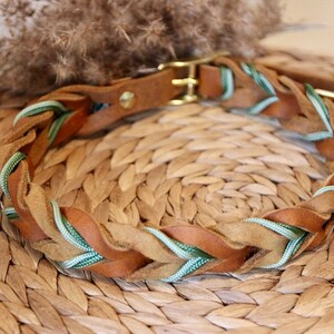 May include: A braided leather dog collar with a green and brown design. The collar has a brass buckle.