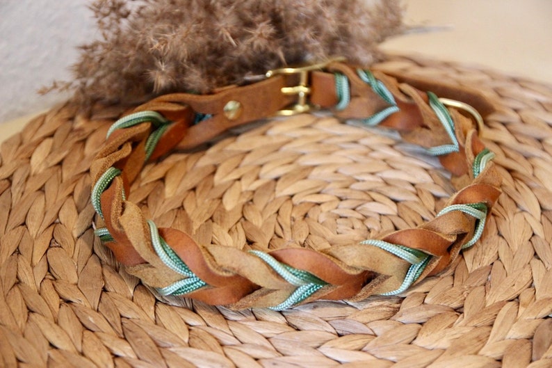 May include: A braided leather dog collar with a green and brown design. The collar has a brass buckle.