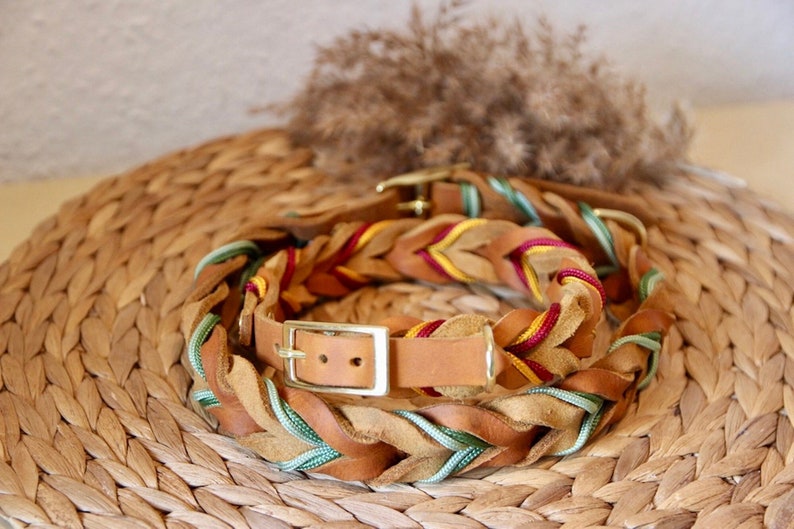 Leather collar | braided leather collar | ELISA image 1